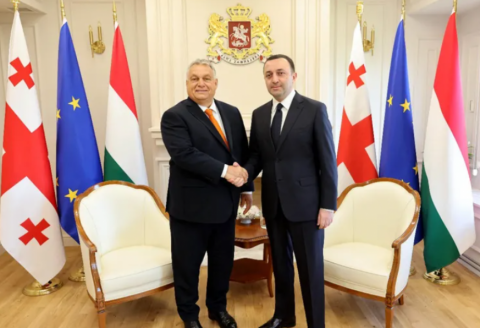 Viktor Orban gürcüstanlı həmkarıyla görüşdü