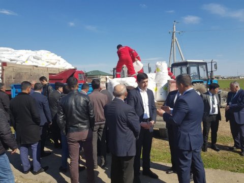 Cocuq Mərcanlı sakinlərinə ödənişsiz olaraq mineral gübrələr verilib - FOTO