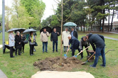 Serbiyada Azərbaycan diplomatiyasına görə 100 ağac əkildi