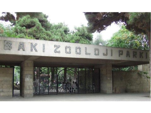 Bakı Zooparkının istifadəyə veriləcəyi təqribi vaxt bilindi