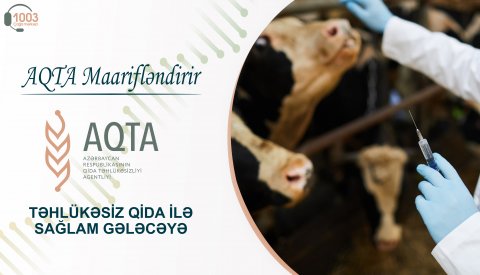 AQTA maarifləndirir - “Qida məhsullarında antibiotik təhlükəsi”