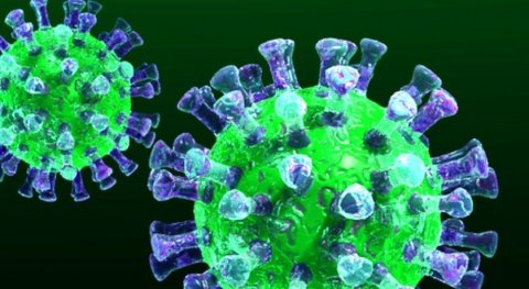 Paytaxtda koronavirusa ən çox yoluxma halı Binəqədi rayonunda qeydə alınıb