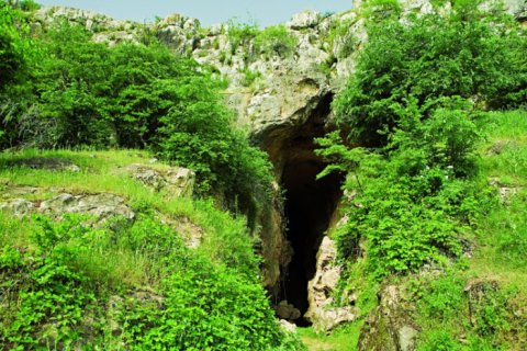 Azıx mağarasındakı arxeoloji tapıntılar Bakıya gətirildi