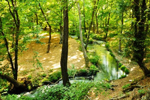 Azərbaycanda yeni milli parklar və qoruqlar yaradılacaq