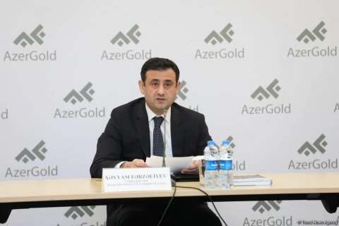 Qarabağdakı qızıl təzahürü sahəsi üzrə geoloji kəşfiyyat proqramı açıqlanıb