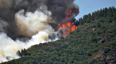 Marmarisdə güclü meşə yanğını başlayıb