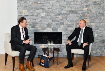 İlham Əliyev Niderland şirkətinin icraçı direktoru ilə görüşdü