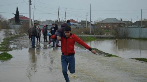 Seldən zərər görmüş sığortalı təsərrüfatlara kompensasiya ödəniləcək