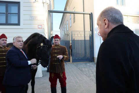 Macarıstanın Baş naziri Ərdoğana at hədiyyə etdi