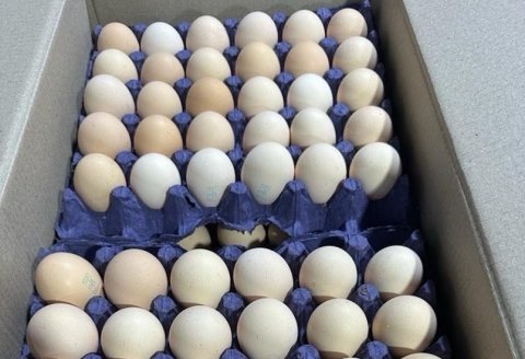 Azərbaycandan Rusiyaya 36 ton yumurta ixrac olunub