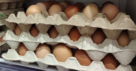 Rusiyaya göndərilən yumurtaların sayı 900 mini ötüb