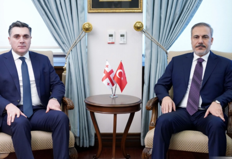 Gürcüstan və Türkiyənin XİN Başçıları görüşdü