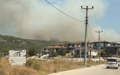 Türkiyədə daha iki meşə yanğını