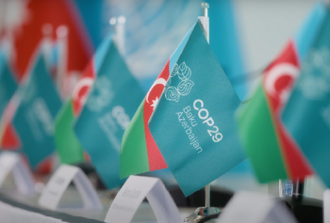 COP29-da yalnız onlara pulsuz qida veriləcək