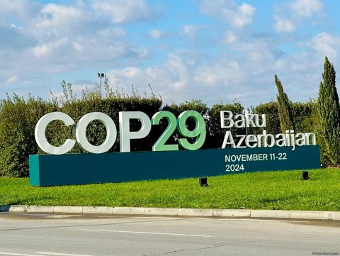 COP29-la bağlı 11 saxta informasiya resursu bloklanıb