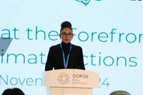 Mehriban Əliyevadan COP29-la bağlı daha bir paylaşım