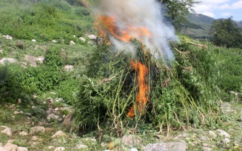 Müsadirə olunmuş narkotik vasitələr məhv edildi