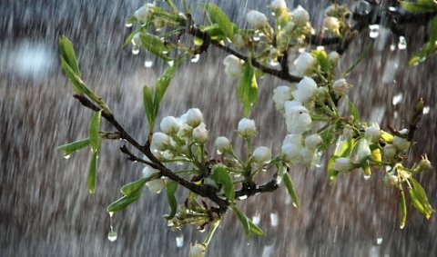 Hava yenidən pisləşəcək - Leysan, dolu və qar yağacaq