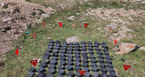 Ötən həftə 1315 hektar ərazi minalardan təmizlənib
