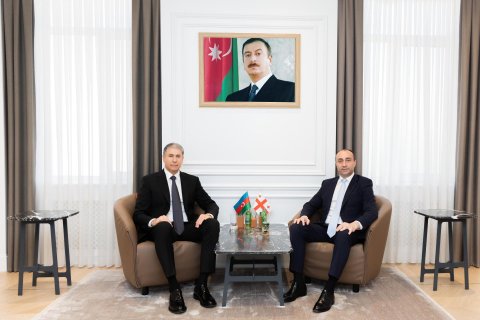 Gürcüstanın daxili işlər naziri Bakıya gəldi - FOTO