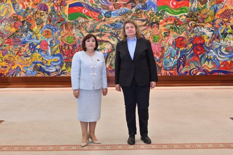 Sahibə Qafarova həmkarı ilə danışıqlar apardı