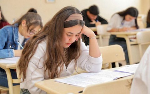 Magistraturaya ixtisas seçimi başladı
