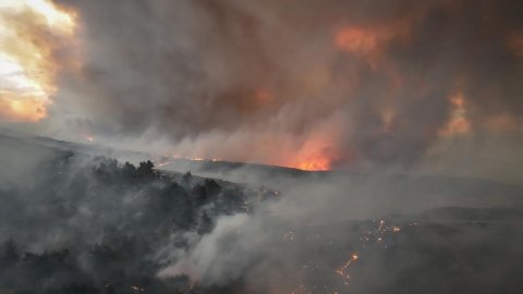 Türkiyədə meşə yanğınları davam edir