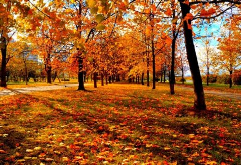 Temperatur 28 dərəcəyədək yüksələcək - Sabahın havası