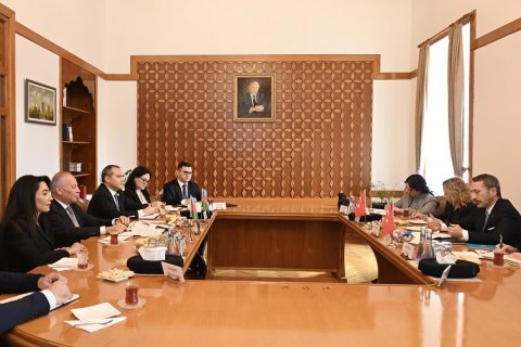 Fahrettin Altun Azərbaycanda