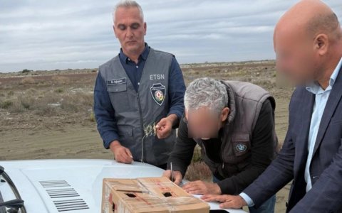 Neftçalada qanunsuz ov edən şəxs saxlanıldı