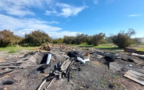 Oğuzda qanunsuz kömür quyuları aşkarlandı
