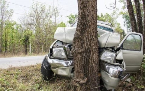 Şəkidə maşın ağaca çırpıldı - Yaralı var