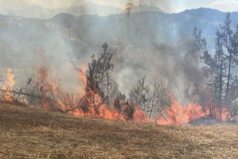 Gədəbəydə dağlıq ərazidə yanğın