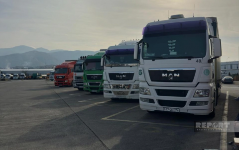 Gürcüstan 20 gündür Azərbaycan “TIR”larını gömrükdən buraxmır