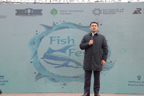 Neftçalada balıq ətri, kulinariya şousu və su macərası - FOTO