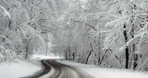 Sabahın hava proqnozu