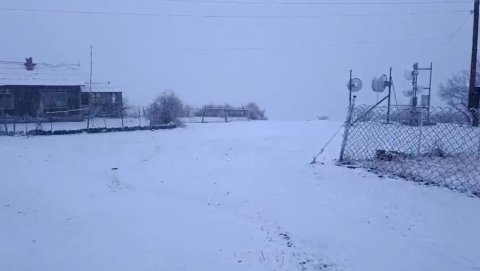 Naxçıvan ağ örpəyə büründü - FOTO