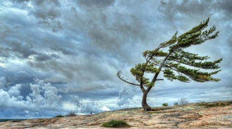 Bu gün axşam güclü külək başlayacaq - XƏBƏRDARLIQ