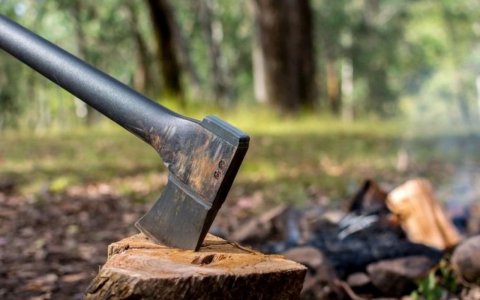 Təbiətə 300 min manata yaxın ziyan dəyib