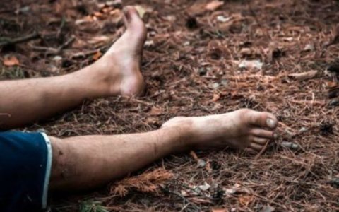 Meşədə üzərinə ağac düşən şəxs öldü