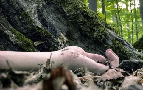 İki ildir axtarılan kişi qətlə yetirilibmiş