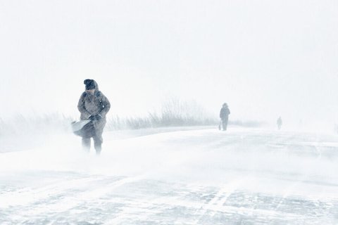 Finlandiyada fırtına - 160 mindən çox ev elektriksiz qaldı