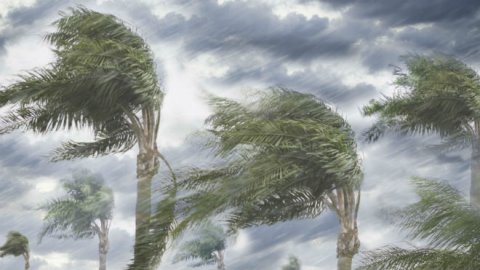 İki gün güclü külək əsəcək - XƏBƏRDARLIQ