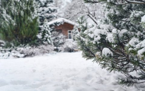 Rayonlara qar yağdı