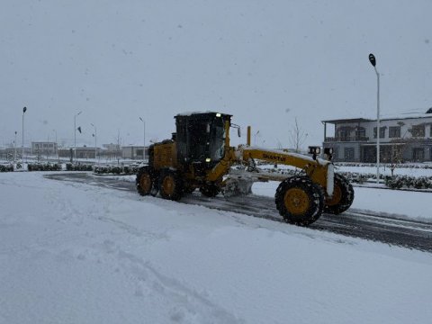 Zəngilan və Cəbrayılda qartəmizləmə işləri görülür