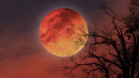 Aya kütləvi köçün vaxtıdır - İlon Mask