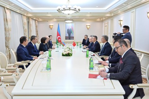 Sahibə Qafarova Fuad Oktay ilə görüşüb