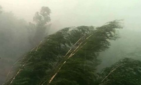 Azərbaycanda güclü külək əsəcək - XƏBƏRDARLIQ