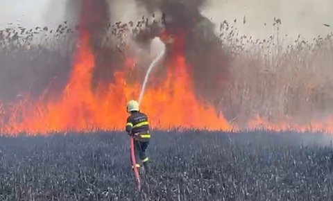 Qazaxda 2 ha qamışlıq yandı-VİDEO