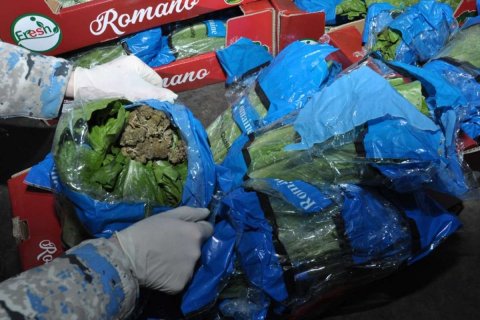 "Kahı" yükünün içərisində 56 kqmarixuana aşkarlandı